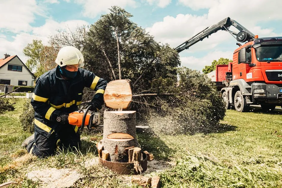 Abattage sécurisé d'un arbre en agglomération