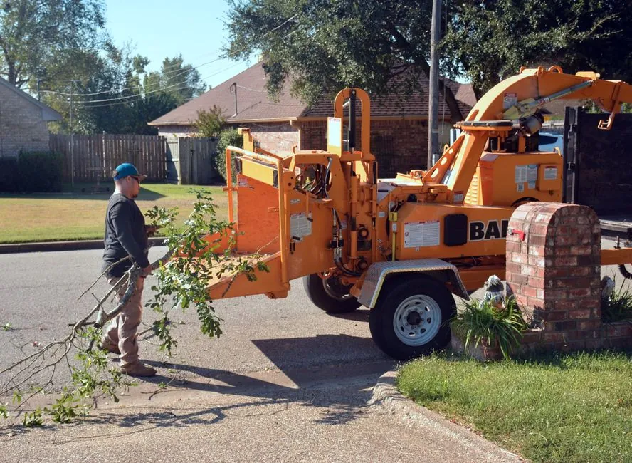 Intervention en hauteur — élagage sécurisé